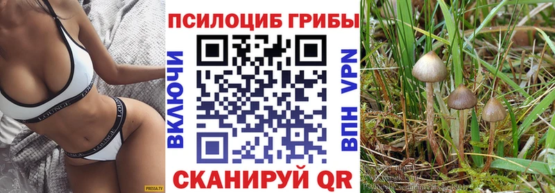 закладка  Яблоновский  Псилоцибиновые грибы Psilocybine cubensis 